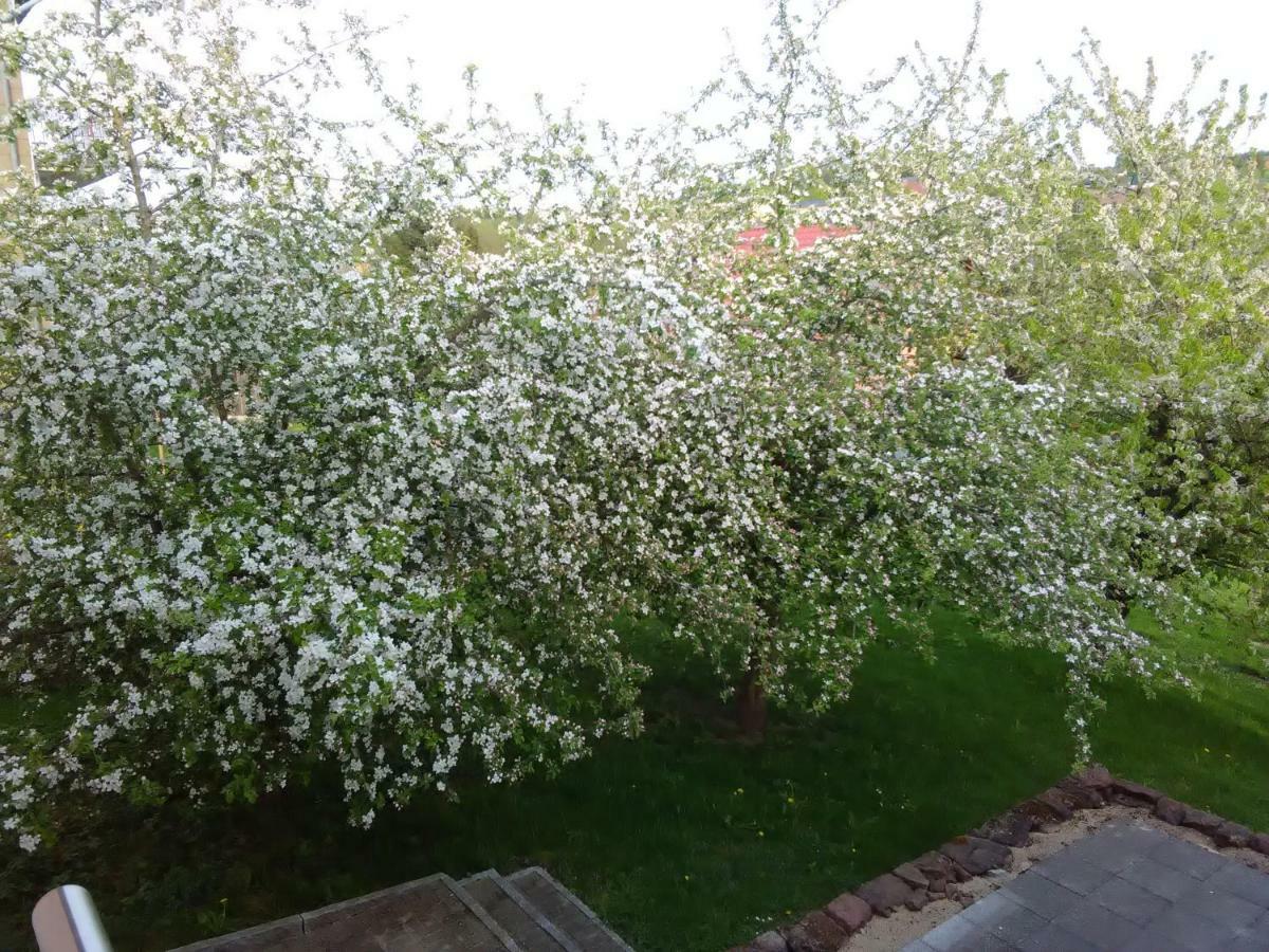 Ferienwohnung Barzen Ralingen Экстерьер фото